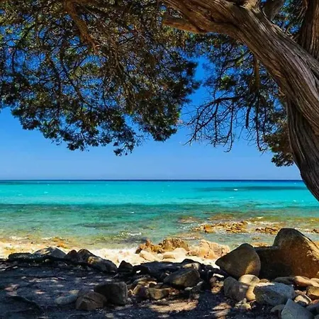 Сasa de vacaciones Casa Muru Di Loriga Galtellì