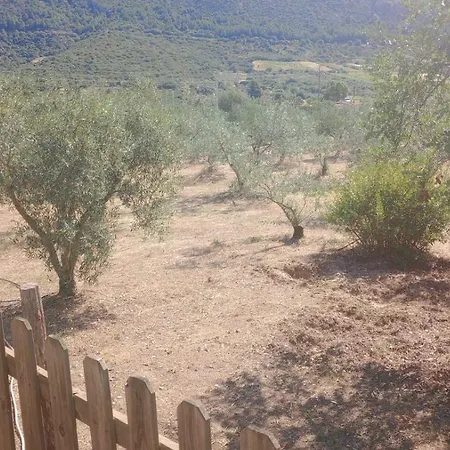 Сasa de vacaciones Casa Muru Di Loriga Galtellì